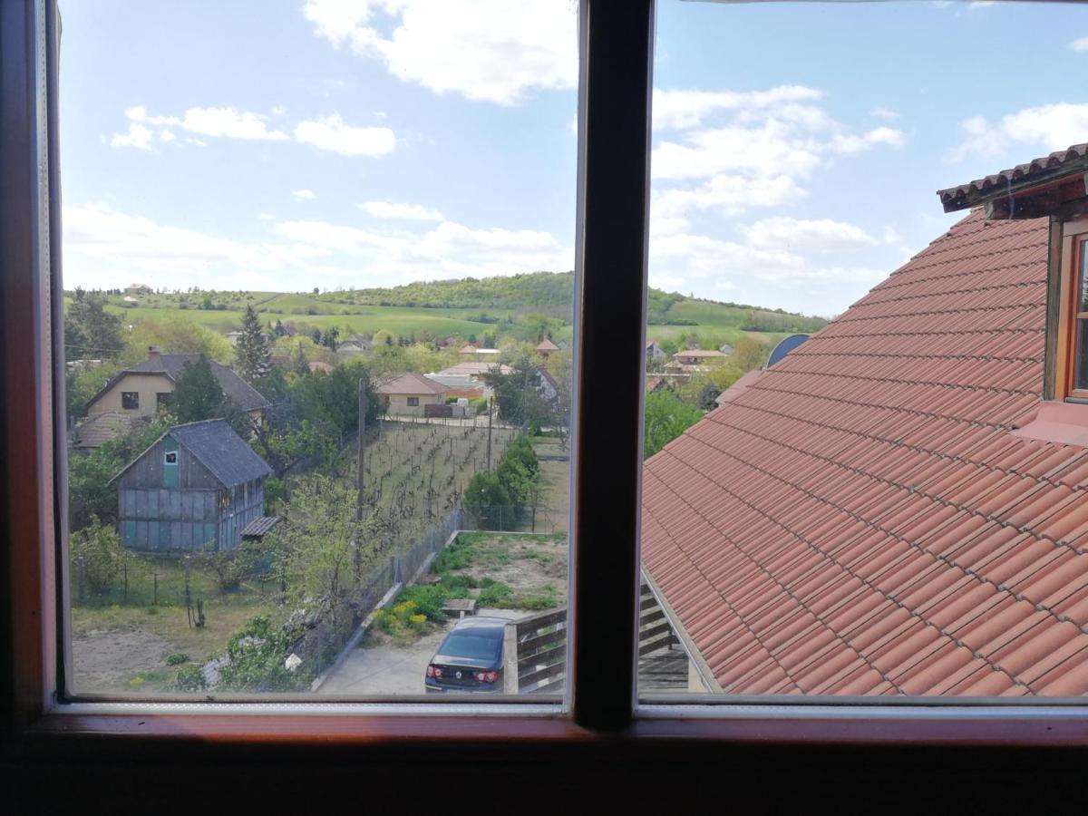 Manoka Guest House Mogyoród エクステリア 写真